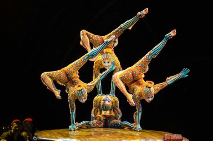 Amazing Andrew Acrobats: Stunning Shows!