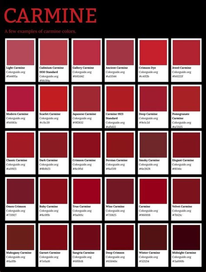 Best Carmine Colors & Shades for Your Project