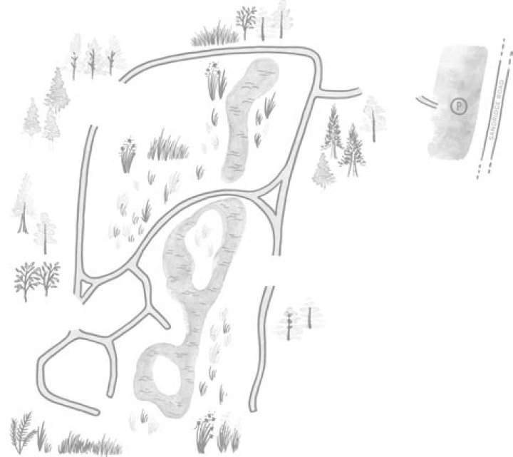 Campfield Hickman: Outdoor Adventures & Family Fun