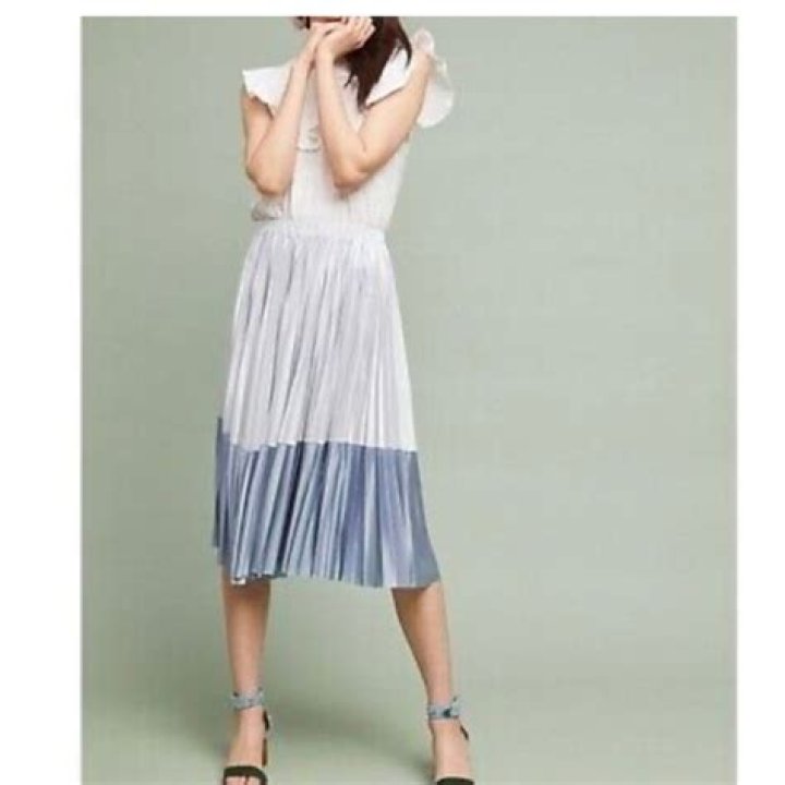 Discover the Elegance of the Anthropologie Cheri Pleated Skirt in Blue and Silver