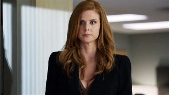 Donna Paulsen: The Heart of Suits and Beyond
