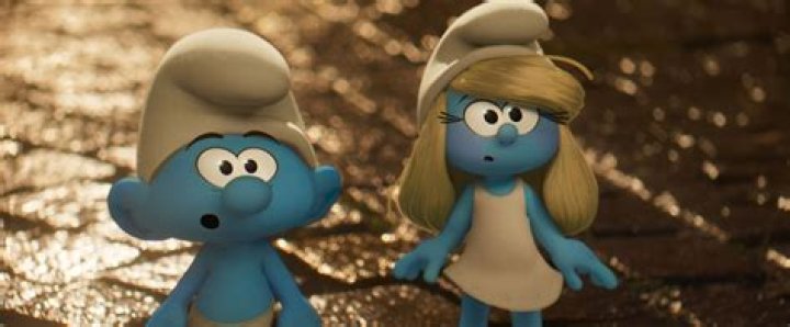 Everything You Need to Know About Smurf Cats: The Ultimate Guide