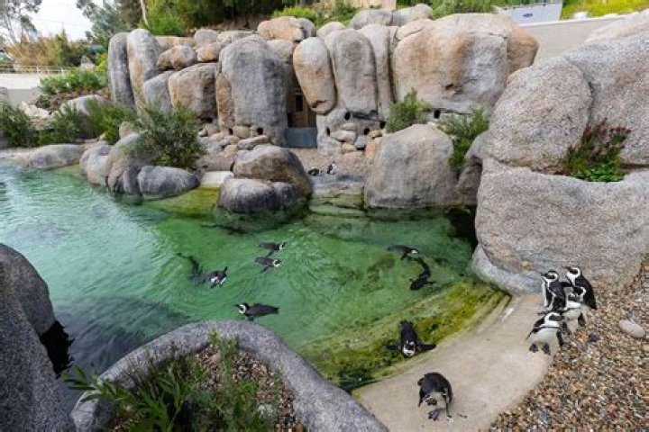Exploring Luxure Zoo: A Unique Experience for Animal Lovers