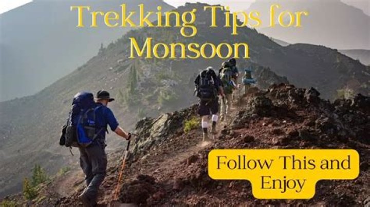 Fresh Lemon Tekking: Expert Tips & Tricks
