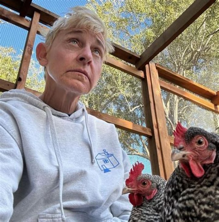 Mayeli Alonso: A Comprehensive Look at Her Life, Career, and Influence