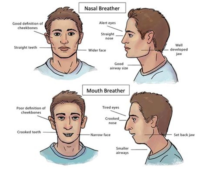 Mouth Drawing: A Comprehensive Guide to Mastering the Art of Mouth Portraits