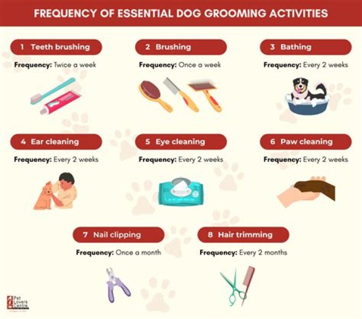 Paw-some Poochie Perfect Grooming Tips!