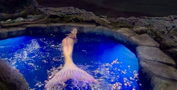 Real Life Mermaid: Unveiling the Mysteries and Fascination Behind Mermaid Lore