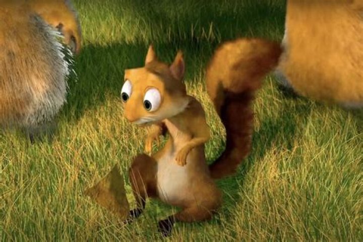 Squirrel from Over the Hedge: A Deep Dive into the Life of a Beloved Character