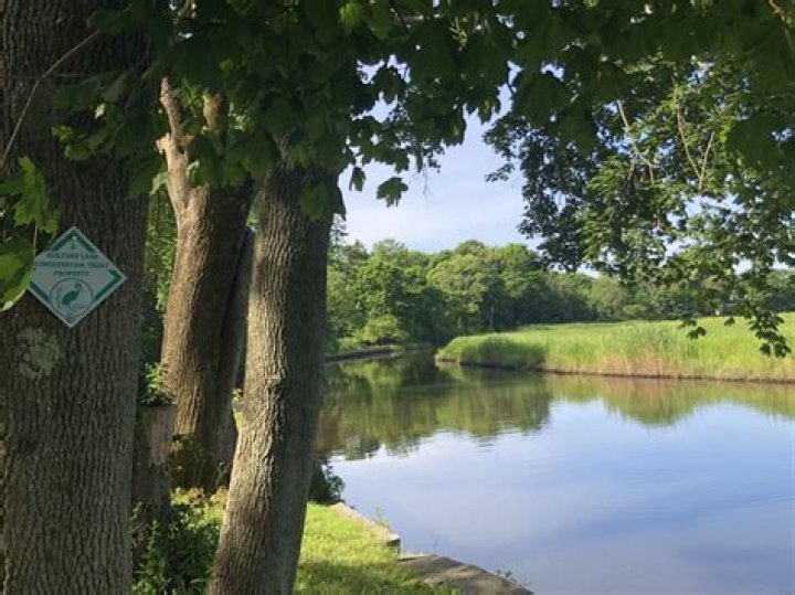 Stunning Guilford Greenery: Picturesque Parks & Gardens