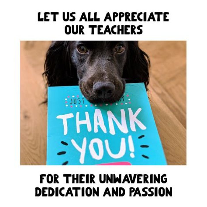 Thank You Meme Funny: The Ultimate Collection to Brighten Your Day