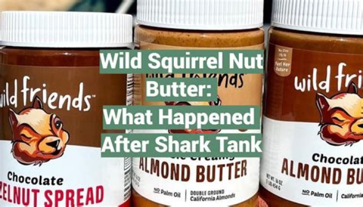 The Rise of Squirrel Nut Butter: A Shark Tank Success Story