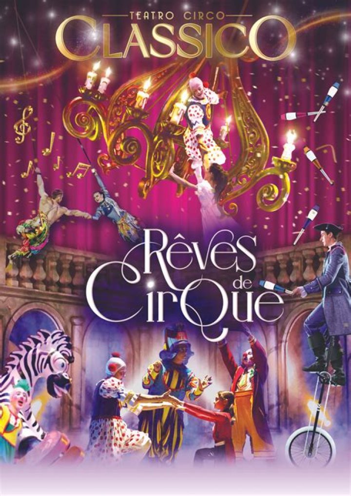 They Walked Between the Ropes: A Journey Through the World of Circus Performers