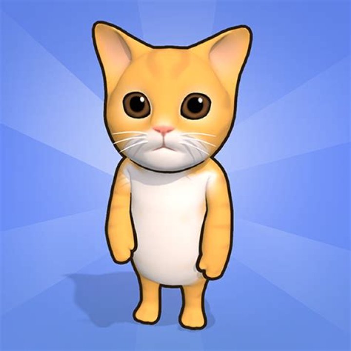 Understanding Elgato Cats: The Perfect Feline Companion