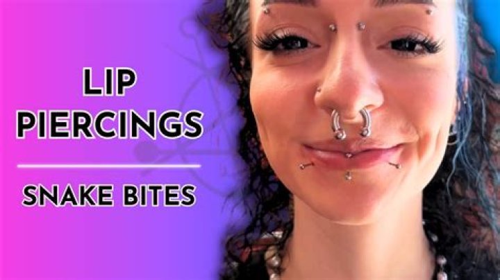 Understanding Snake Bites Piercings: A Comprehensive Guide