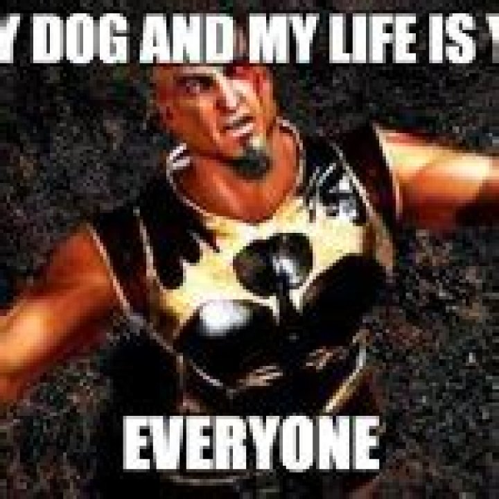 Understanding the "And My Life Is Yours" Meme: A Deep Dive