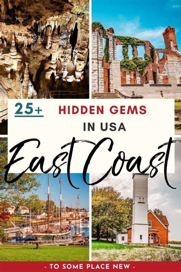 Venice McLaughlin: Top Spots & Hidden Gems