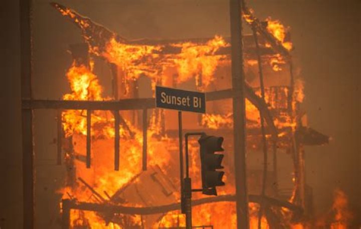 Wildfires Fueled by Corona Virus Restrictions?
